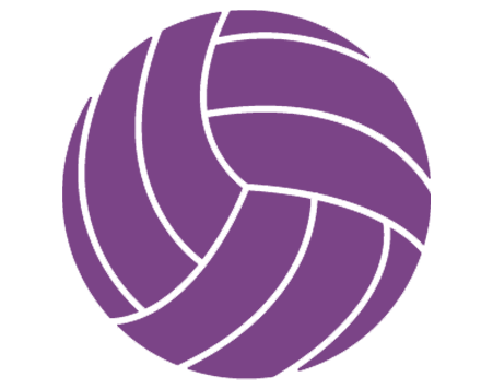 Voleibol
