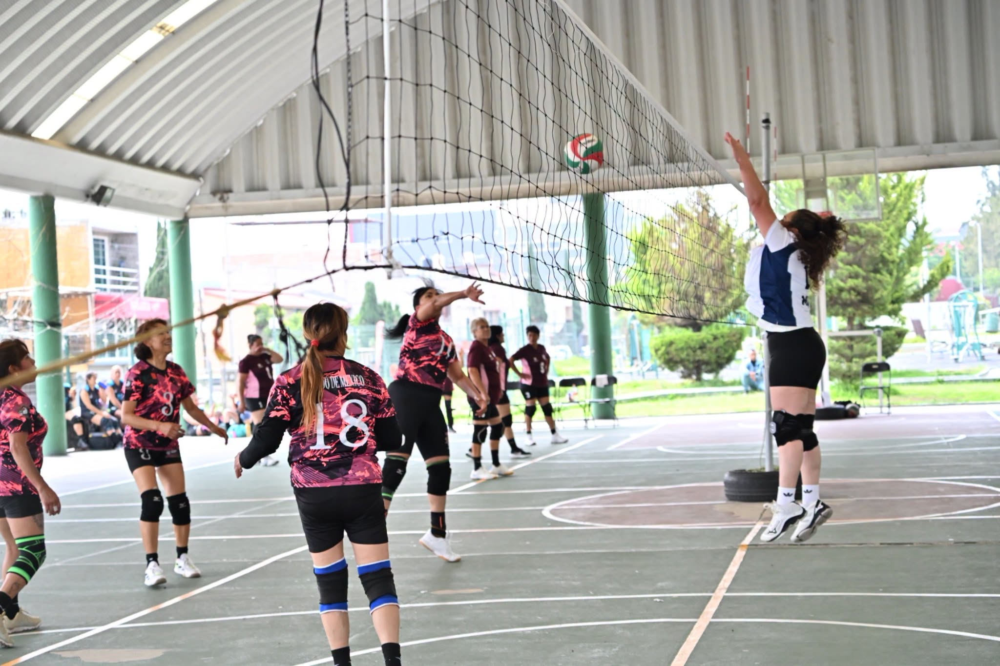 Festival Estatal de Voleibol Master 2026🏐